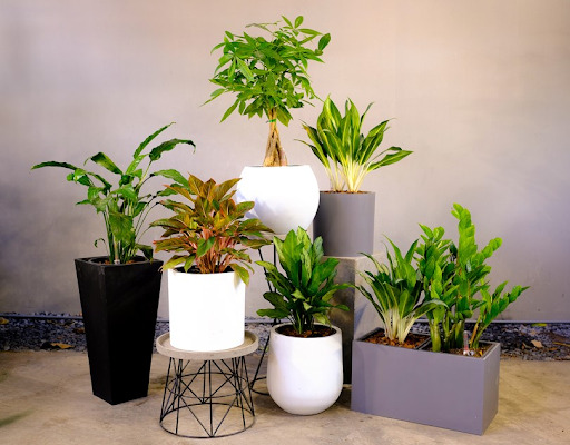 Bật mí những quà tặng 20/11 cho thầy cô ý nghĩa nhất 4 Bật mí những quà tặng 20/11 cho thầy cô ý nghĩa nhất