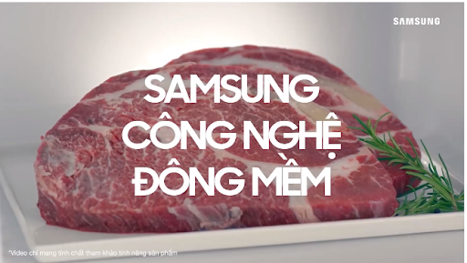 TỦ LẠNH SAMSUNG INVERTER 236 LÍT RT22M4032BY/SV 6 TỦ LẠNH SAMSUNG INVERTER 236 LÍT RT22M4032BY/SV