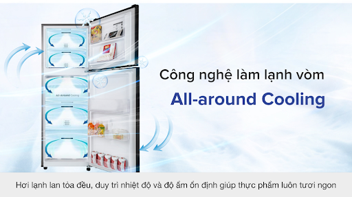 TỦ LẠNH SAMSUNG INVERTER 236 LÍT RT22M4032BY/SV 9 TỦ LẠNH SAMSUNG INVERTER 236 LÍT RT22M4032BY/SV