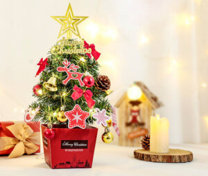 Gợi ý những món quà tặng Noel cực ý nghĩa cho bạn bè và người thân 3 qua tang noel cay thong trang tri