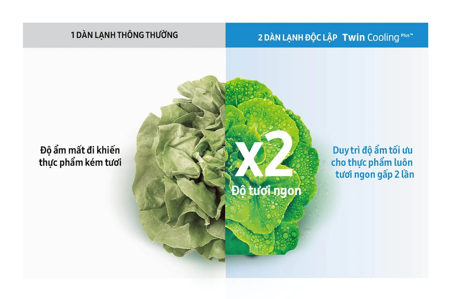 Tủ lạnh Samsung Inverter 360 lít RT35K50822C/SV 4 word image 128088 4 1